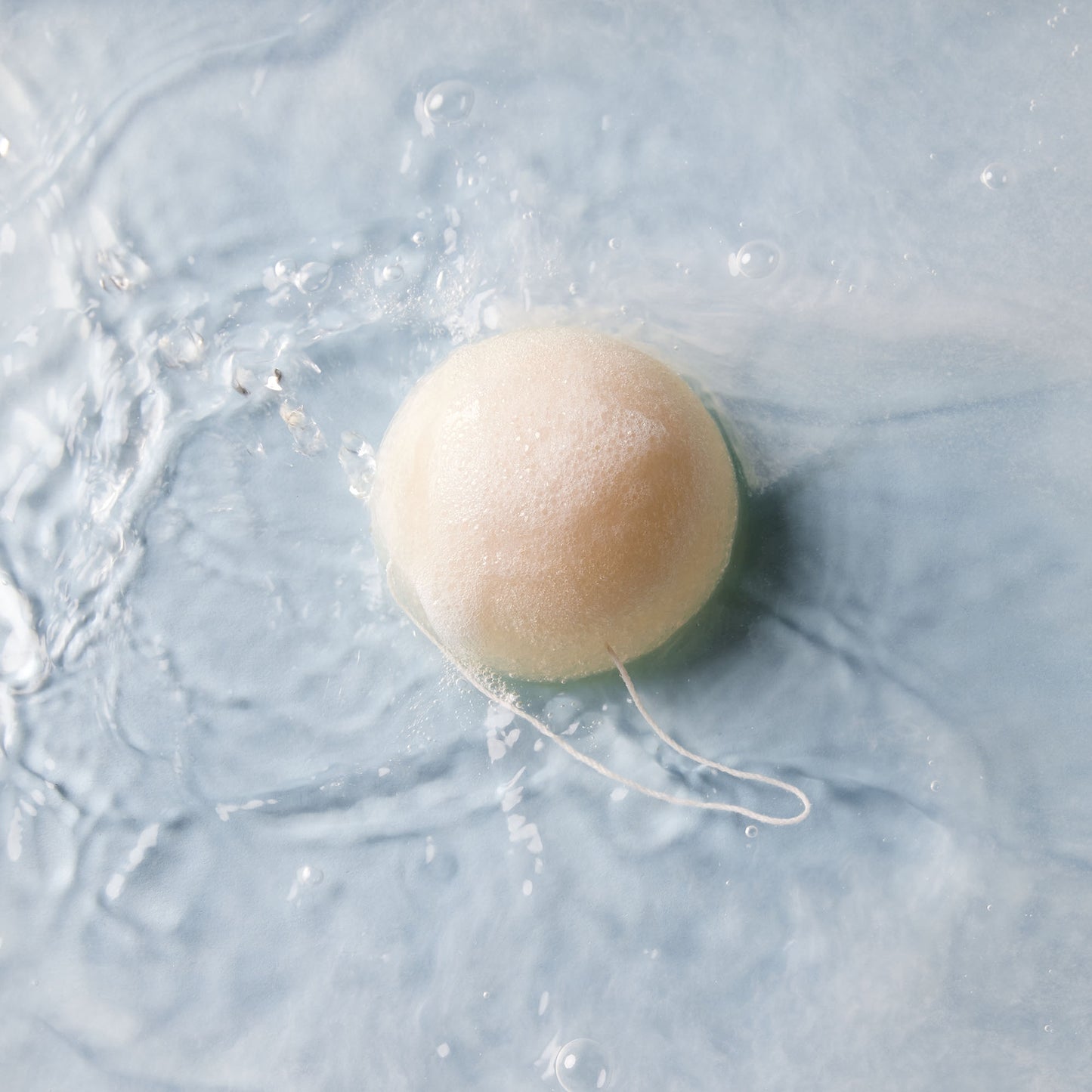 Konjac Sponge - ABSOLUTION