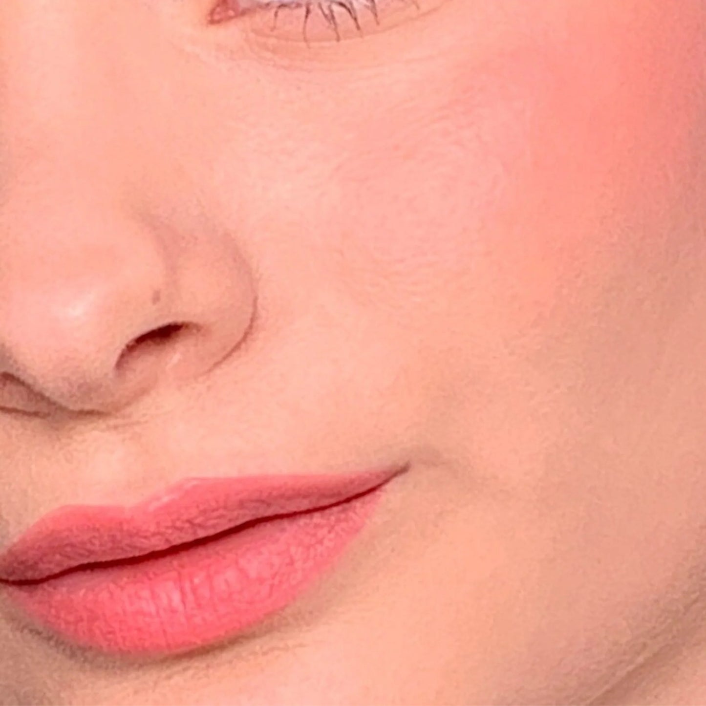 Lips+Blush - ALL TIGERS