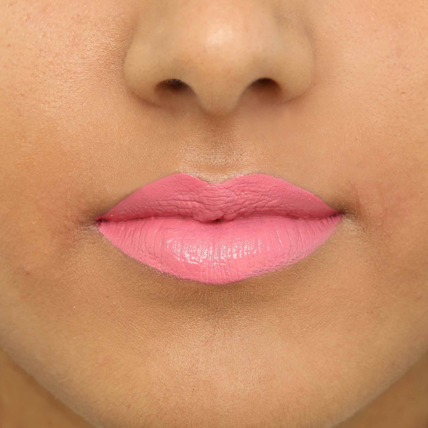 Matte Lipstick - ALL TIGERS