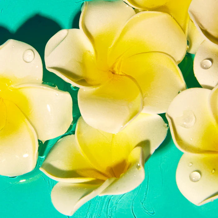 Huile cheveux protecteur thermique MOANA - BAÏJA