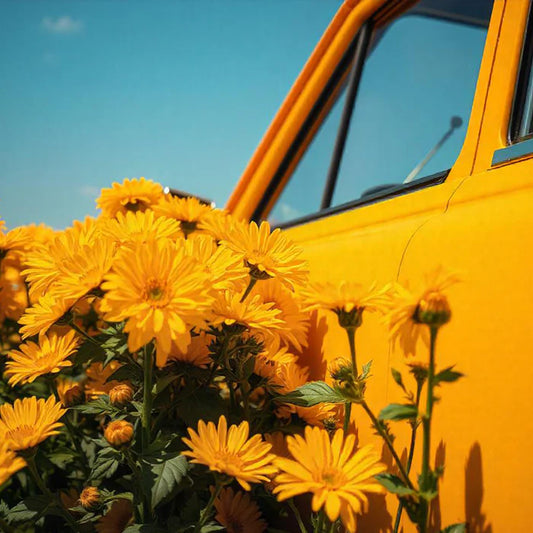 Parfum de voiture Indian Sunset - BAÏJA