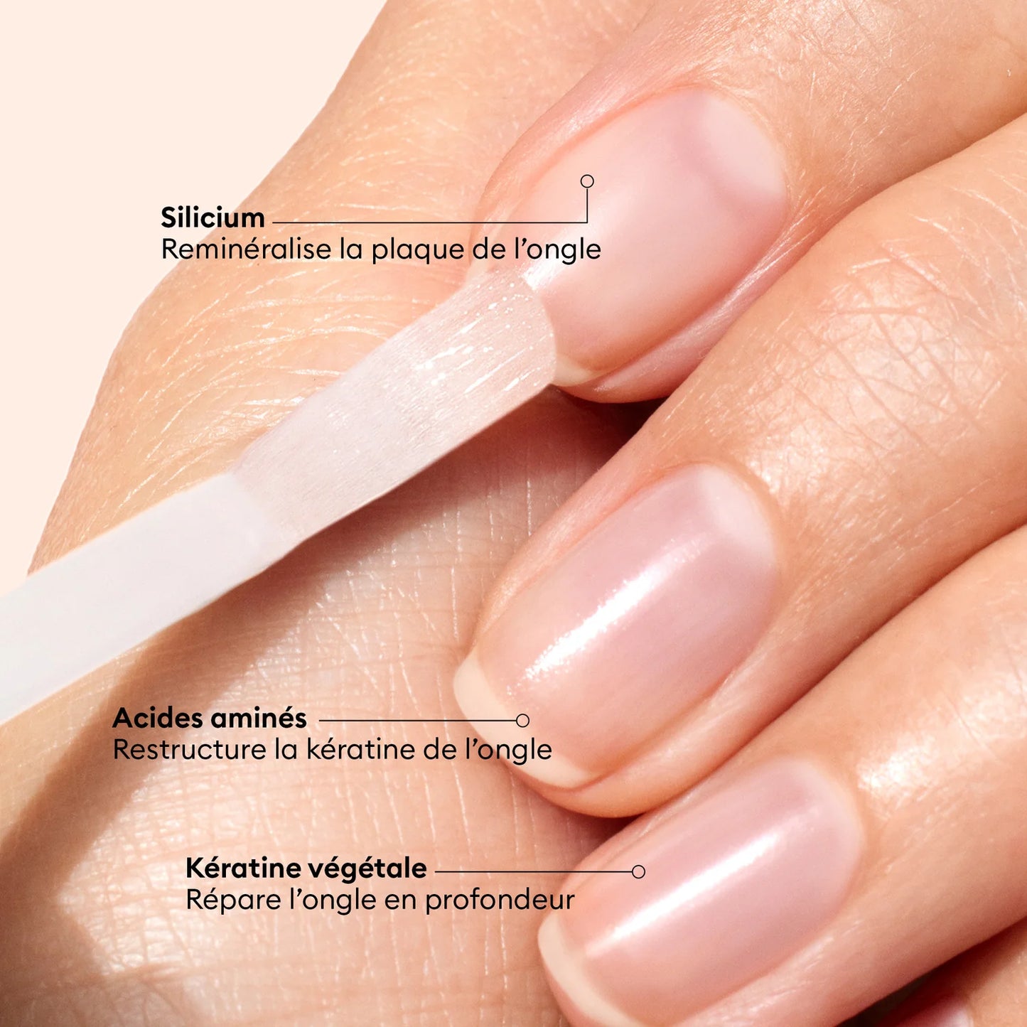Vernis Amer - MANUCURIST
